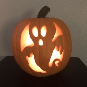 Meet your Posher, Joey